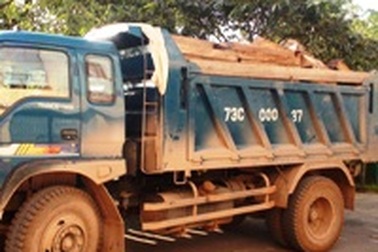 Phát hiện và thu giữ hơn 8m3 gỗ quý