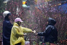 Miền Bắc rét đậm, vùng núi cao khả năng xảy ra băng giá