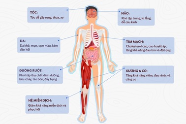 Stress ảnh hưởng đến sức khỏe cơ thể bạn thế nào?