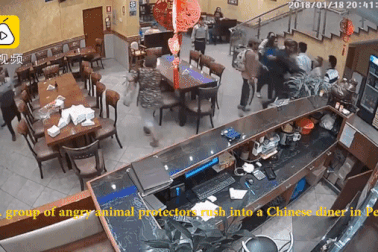 Nhóm thực khách gây loạn nhà hàng Trung Quốc vì tưởng nhầm bị phục vụ thịt chó