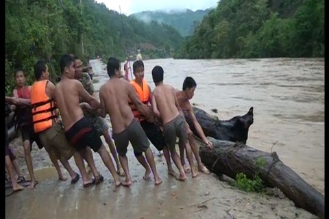 Hàng trăm người dân liều mình lao xuống dòng lũ chảy xiết vớt củi