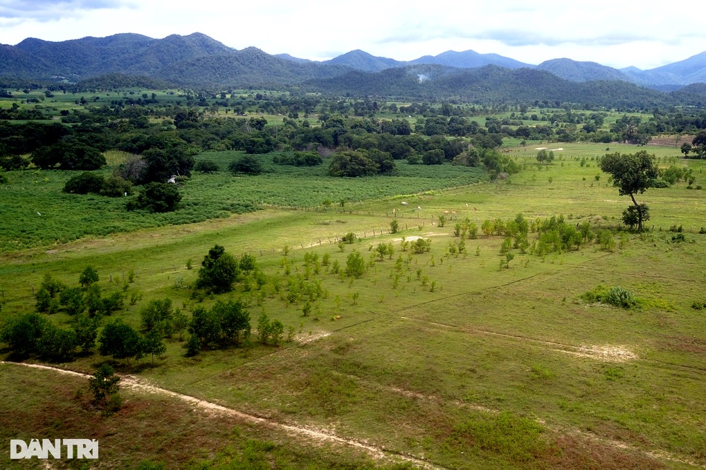 Trồng 60ha rừng, cây chết... 90% - 2 Trồng 60ha rừng, cây chết... 90% - 2