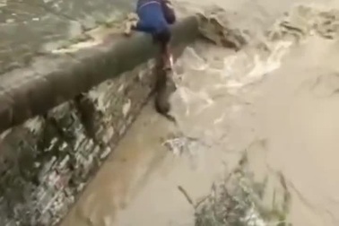 Người đàn ông liều lĩnh mạng sống giải cứu chú chó bị mắc kẹt dưới sông