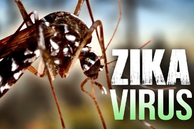 Các nhà khoa học Anh với tham vọng chữa ung thư não bằng… virus Zika