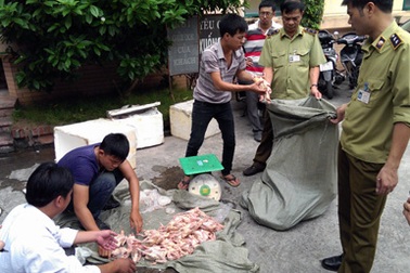 Dựng vách ngăn trong thùng xe tải để tuồn chim “lậu” về thủ đô