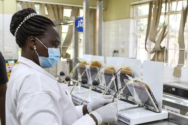 Dịch bệnh bí ẩn bùng phát ở Kenya