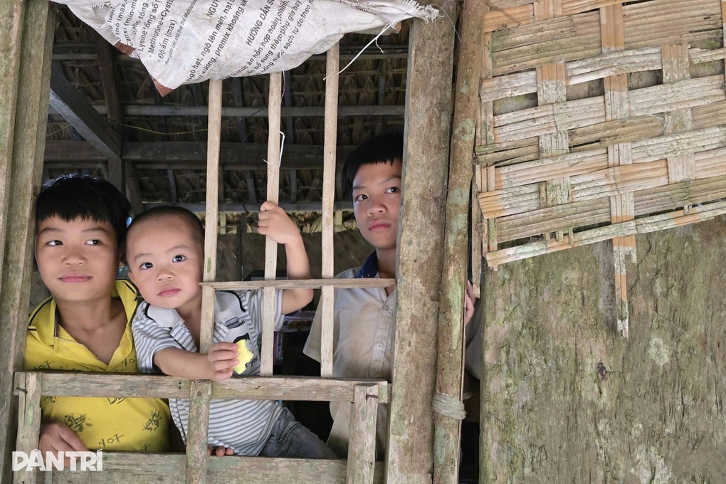 Bố mẹ khờ khạo, 3 con thơ ngơ ngác trong căn nhà tranh mục nát - 4