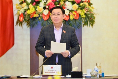 Người trúng đấu giá biển số xe ô tô sẽ có những quyền và nghĩa vụ gì?