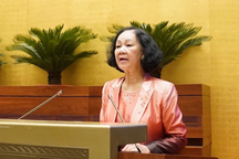 Bà Trương Thị Mai: Rất tiếc có một bộ phận "giữa đường gãy cánh"