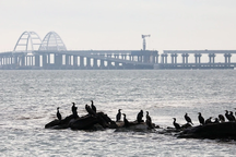 Quan chức thân Nga nói Ukraine tập kích cầu nối Kherson với Crimea