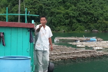 Canh bạc sứa đỏ độc nhất vô nhị