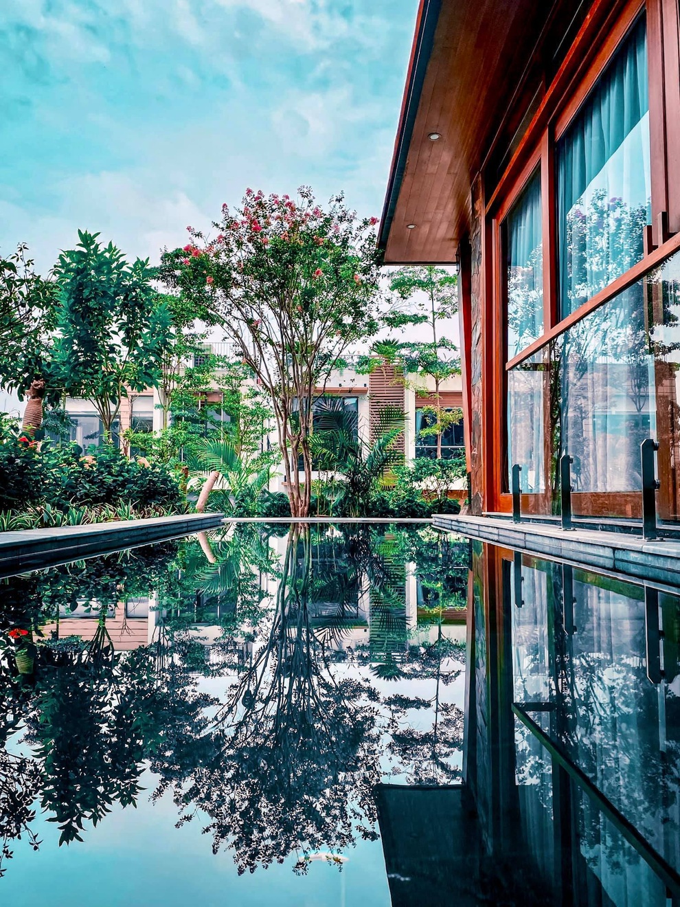 Ốc đảo xanh mướt rộng 250 m2 ở Vĩnh Phúc của bà mẹ 2 con - 22 Ốc đảo xanh mướt rộng 250 m2 ở Vĩnh Phúc của bà mẹ 2 con - 22