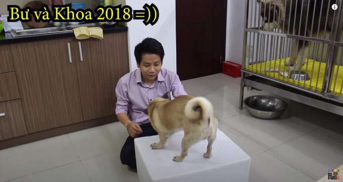 Chi cả triệu bạc mua tôm hùm làm quà, Khoa Pug vẫn bị cún cưng &quot;chảnh chó&quot; - Ảnh 1.