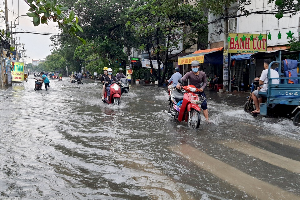 TPHCM mưa trắng trời, đường ngập, cây đổ khắp nơi - 3 TPHCM mưa trắng trời, đường ngập, cây đổ khắp nơi - 3
