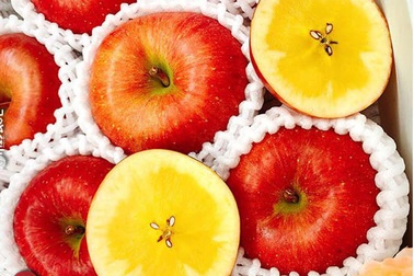 Tiết lộ về loại táo trong như mật ong, nhà giàu đổ tiền tỷ mua ăn