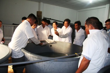 Giảng viên trường ĐH Trà Vinh nghiên cứu thành công tôm sú bố mẹ sạch bệnh