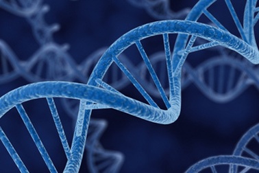 Ung thư đại trực tràng có do tính di truyền?