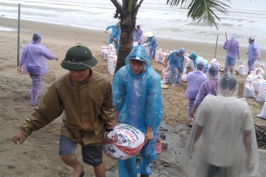 Dân đổ ra biển lấy cát làm "vũ khí" chống bão