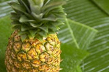 Dứa, nghệ, mía giúp khôi phục chức năng gan