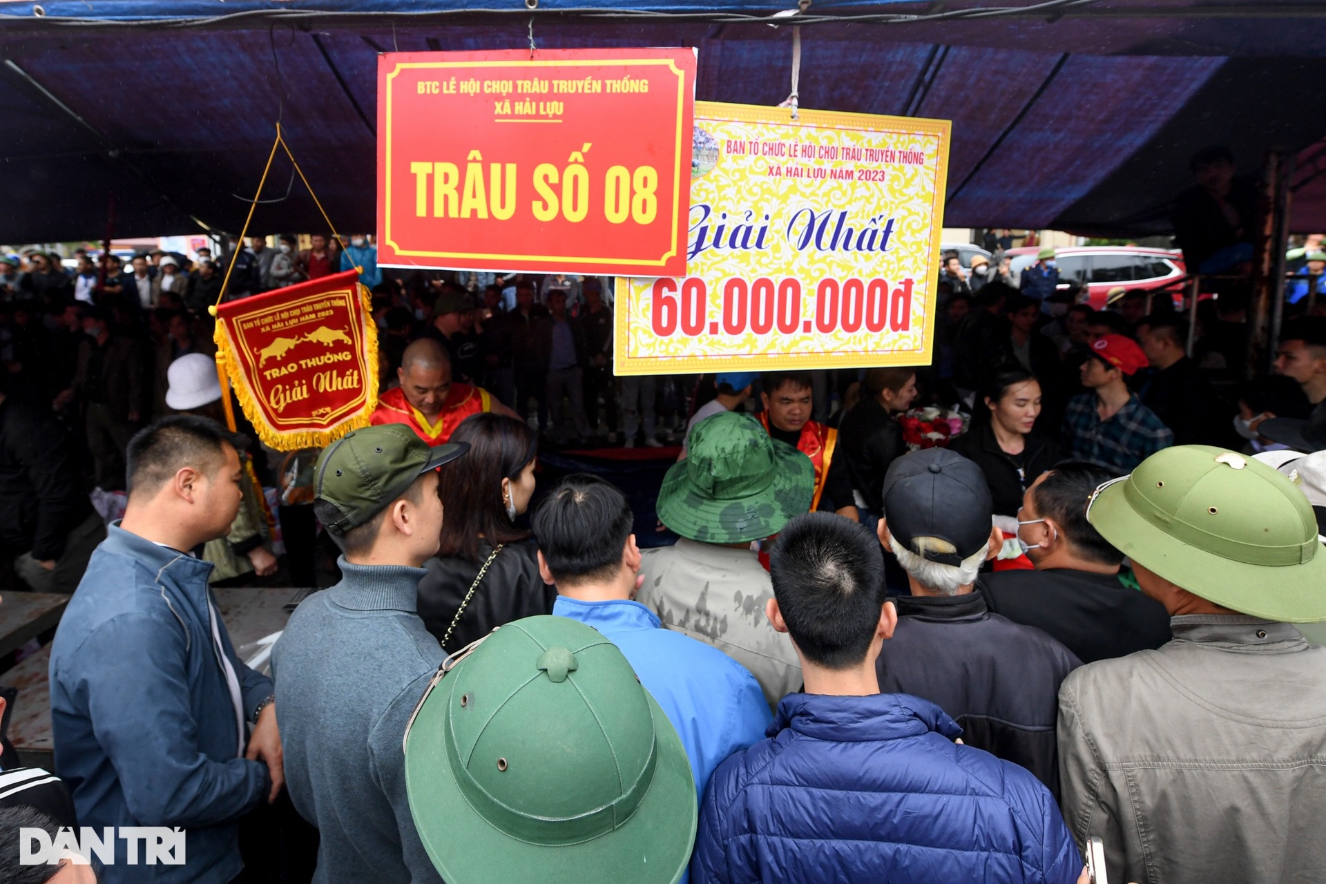 Chọi trâu Hải Lựu: Trâu vừa vô địch đã bị xẻ thịt bán 5 triệu đồng/kg - 16 Chọi trâu Hải Lựu: Trâu vừa vô địch đã bị xẻ thịt bán 5 triệu đồng/kg - 16