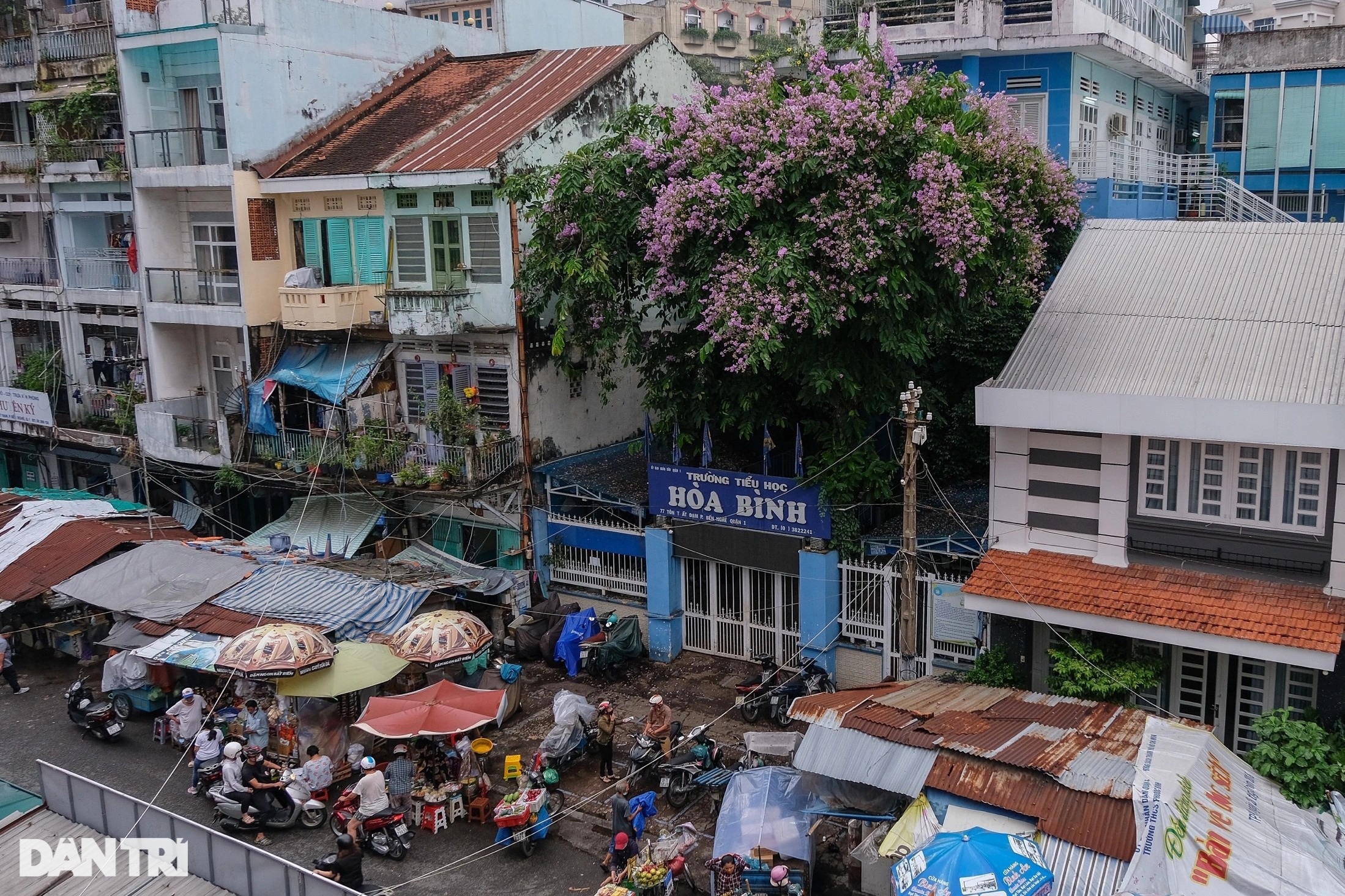 Chợ nhà giàu giữa trung tâm TPHCM chuẩn bị giải tỏa - 5 Chợ nhà giàu giữa trung tâm TPHCM chuẩn bị giải tỏa - 5