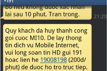 Tẩy chay 3G, ùn ùn lắp Internet giá rẻ