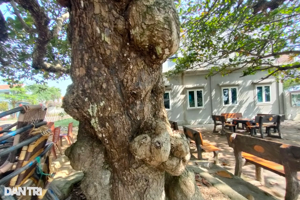 Thú vị về địa điểm gắn kết tình làng nghĩa xóm nơi chân núi Kiến Nghệ An - 4 Thú vị về địa điểm gắn kết tình làng nghĩa xóm nơi chân núi Kiến Nghệ An - 4