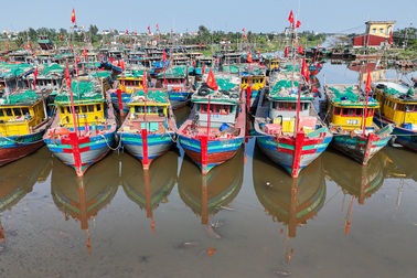 Xác minh hơn 4.300 tàu cá không bật giám sát hành trình