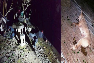 Hai thanh niên nghi là "cẩu tặc" gặp tai nạn trên đường bỏ chạy