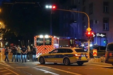 Việt Nam thông tin vụ hai anh em sinh đôi bị ô tô tông tử vong ở Đức