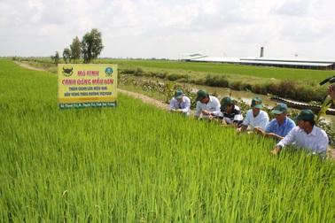 Phân bón Đầu Trâu: Luôn vì lợi ích cao nhất của Nhà nông