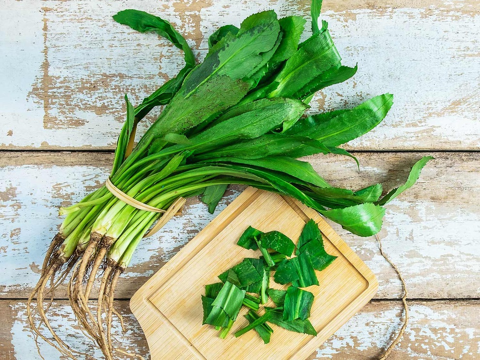 Những lợi ích sức khỏe đáng kinh ngạc của rau ngò gai - 2 Những lợi ích sức khỏe đáng kinh ngạc của rau ngò gai - 2