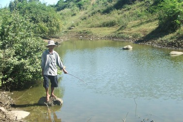 Khốn khổ vì những “túi” phân từ trên núi tràn xuống