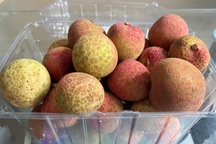 Người Sài Gòn "săn" vải thiều tiến Vua dù giá cao ngất ngưởng