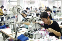 Thủ tục báo tăng, giảm BHXH khi người lao động chuyển việc