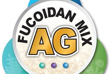 Fucoidan Umi No Shizuku nâng cao sức khỏe hiệu quả cho người dùng