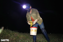 Nghề chỉ tranh thủ vào ban đêm, thu nhập cao hơn làm lúa