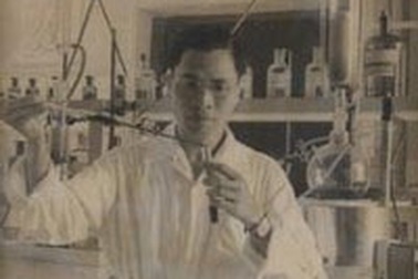 Kỳ I: Cứu vớt di sản của tiền nhân