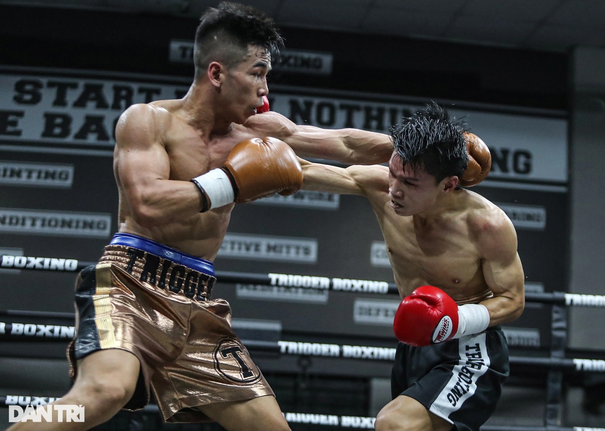 Nhà vô địch WBC châu Á Trần Văn Thảo hạ knock-out tay đấm Thái Lan - 1 Nhà vô địch WBC châu Á Trần Văn Thảo hạ knock-out tay đấm Thái Lan - 1