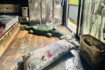 Hiện trường đau lòng của vụ cháy khiến 2 cháu bé tử vong