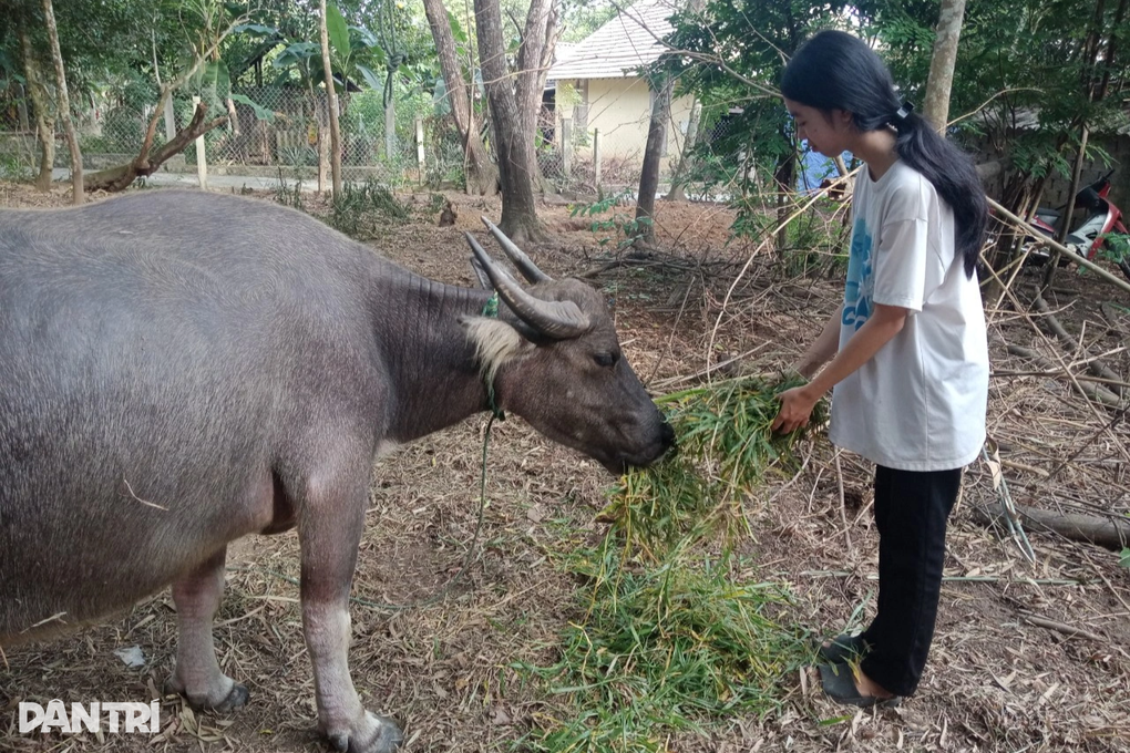 Không bố, mẹ khuyết tật, nữ sinh nghèo đứng trước nguy cơ phải bỏ học - 5 Không bố, mẹ khuyết tật, nữ sinh nghèo đứng trước nguy cơ phải bỏ học - 5