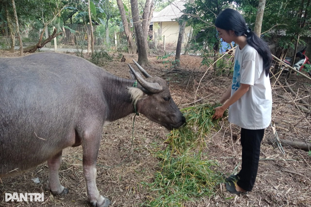 Không bố, mẹ khuyết tật, nữ sinh nghèo đứng trước nguy cơ phải bỏ học - 5