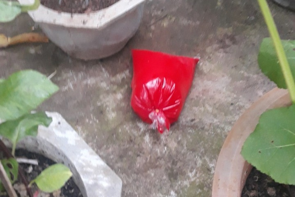 Nhà nguyên Trưởng Phòng giáo dục bị tạt sơn đêm mồng 1 Tết - 3 Nhà nguyên Trưởng Phòng giáo dục bị tạt sơn đêm mồng 1 Tết - 3