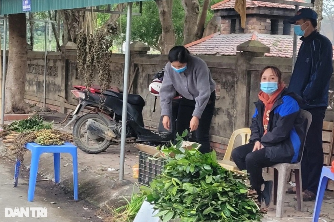 Đầu năm lên rừng cầu may - 9 Đầu năm lên rừng cầu may - 9