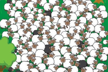 Mời bạn thử tài tinh mắt với loạt tranh “đánh đố” này