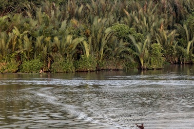Dự án khai thác mỏ vàng khủng của Trung Quốc vấp chỉ trích từ Liên Hợp Quốc