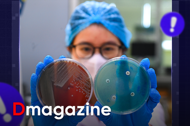 Vén màn nghề lạ của những “thợ săn vi khuẩn”