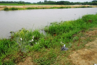 Bơi qua sông bắt cáy, một học sinh chết đuối thương tâm