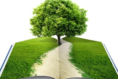 Sách thiếu nhi đọc xong có thể... trồng thành cây xanh