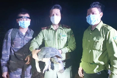 Thứ trưởng TN-MT: "Nói không với sử dụng động vật hoang dã trái phép"